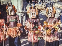 Dogon