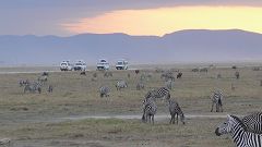 Amboseli