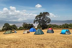 Ngorongoro: campo