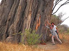 Kwa Kuchinia: baobab