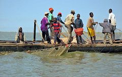 Lago Ciad: pescatori Kotoko