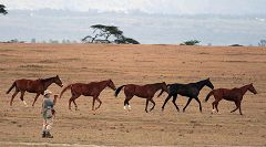 Crescent Island (Lake Naivasha)