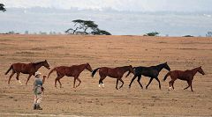 Crescent Island (Lake Naivasha)