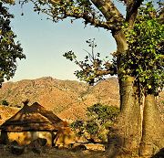 Nagueimolo: villaggio dei baobab