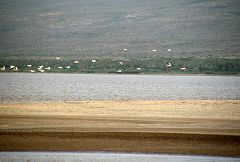 Lago Eyasi