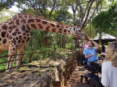 Giraffe Centre (Nairobi)