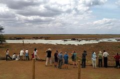 Manyara: hippo pool