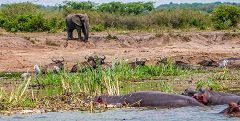 Queen Elizabeth National Park