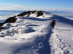 Kilimanjaro