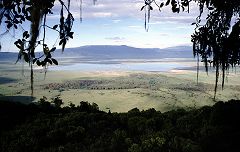 Ngorongoro crater