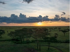 Ngorongoro crater