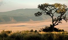 Ngorongoro: vista da sud ovest