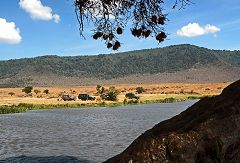 Ngorongoro: sosta