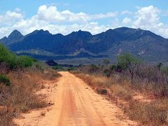 Ngulia mountains