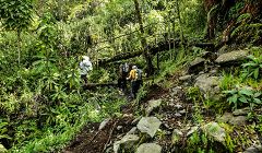 Parco nazionale dei Monti Rwenzori