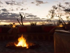 Zebra Plains Mara tented Camp