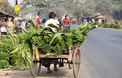 Alakdiar: banane