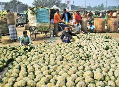 Jaipurhat: mercato