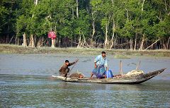 Sundarbans: pescatori