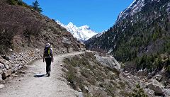 Gangotri: trek