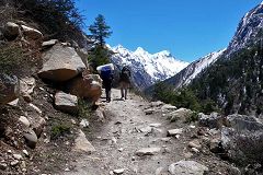 Gangotri: trek