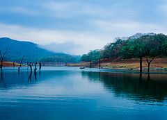 Lake Thekkady (Periyar)