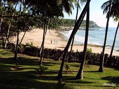 Palm Paradise Cabanas (Tangalle)