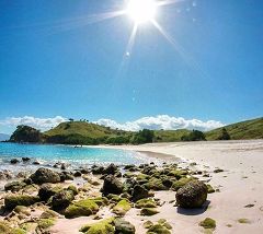 Pink Beach (Komodo)