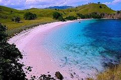 Pink Beach (Lombok)