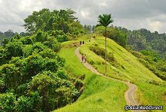 Campuhan Ridge Walk (Bali)