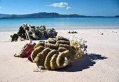 Pulau Padar