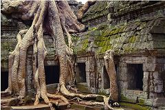 Ta Prohm