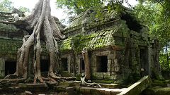 Ta Prohm