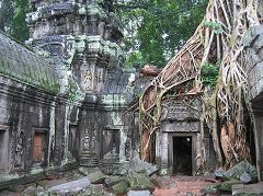 Ta Prohm