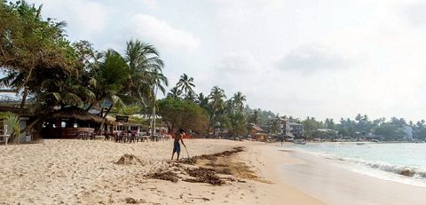 Tartaruga Beach Hotel (Unawatuna)