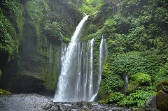 Tiu Kelep (Rinjani) Waterfall