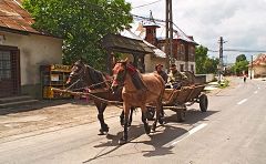 Bogdan Voda: trasporti locali