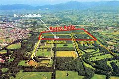 Bosco Bello