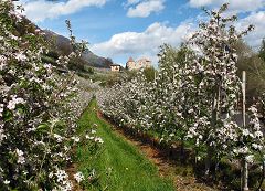 Castelbello-Ciardes (Kastelbell-Tschars)