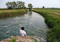 Conche sul naviglio di Bereguardo (1)