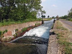 Conche sul naviglio di Bereguardo (4)