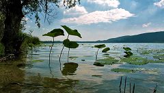 Lago di Comabbio