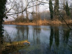 Riserva Naturale il Mortone