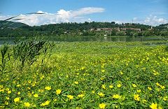 Vista su San Sepolcro