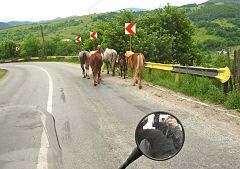 Valea Ciungii: trasporti locali