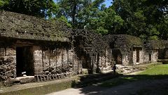 Palacio de las Acanaladuras (Tikal)
