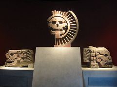 Museo di Antropologia