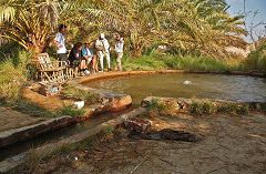 Una fonte di acqua calda e solforosa