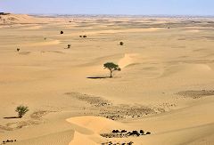 Wadi el Milk