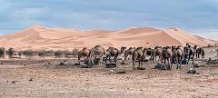 Erg Chebbi